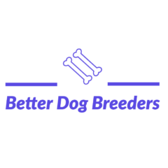 BetterDogBreeders